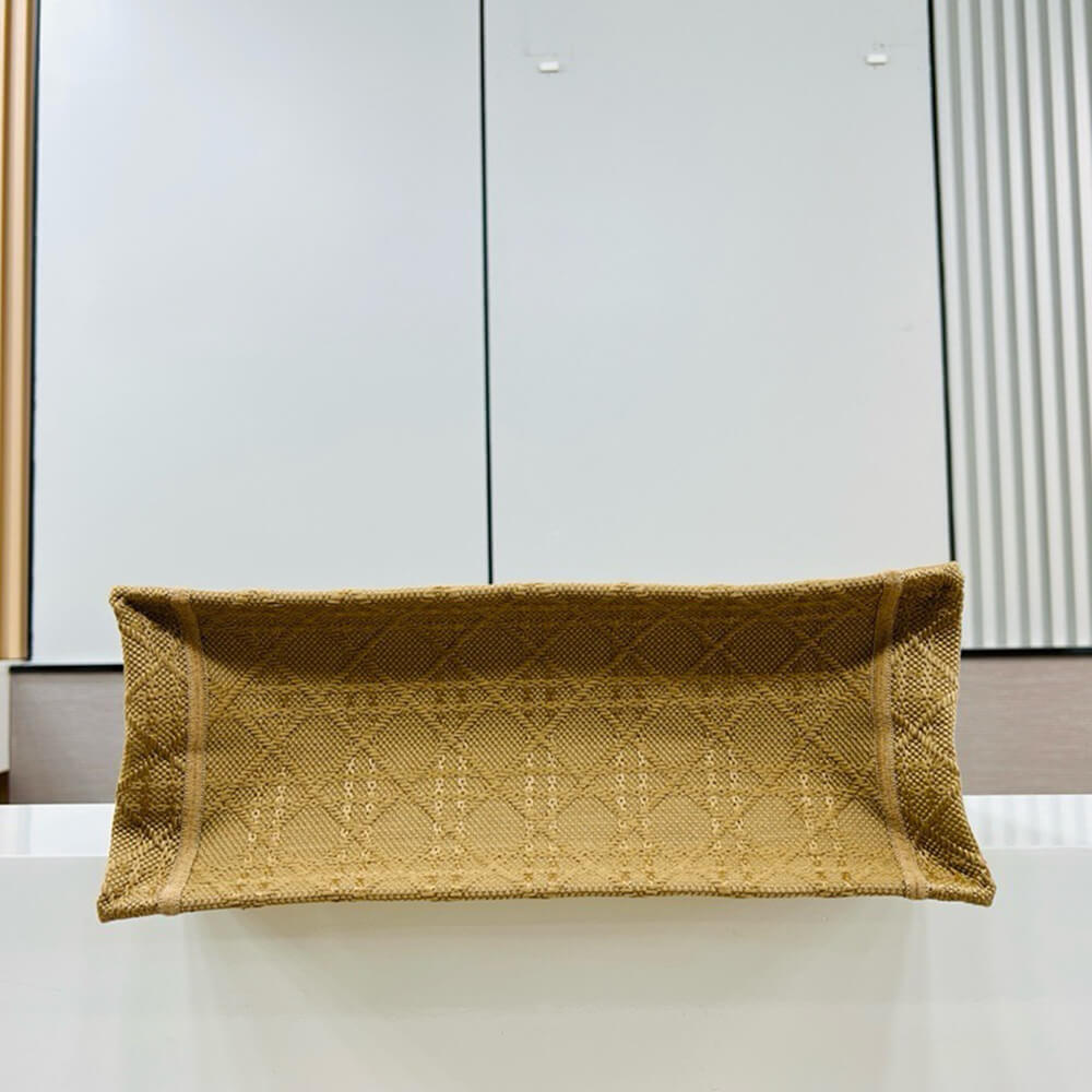 Medium Dior Book Tote