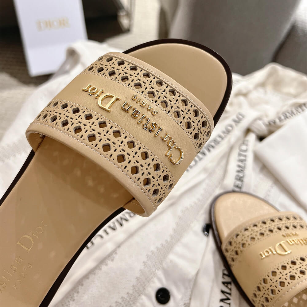 DIOR D-Lane Slide