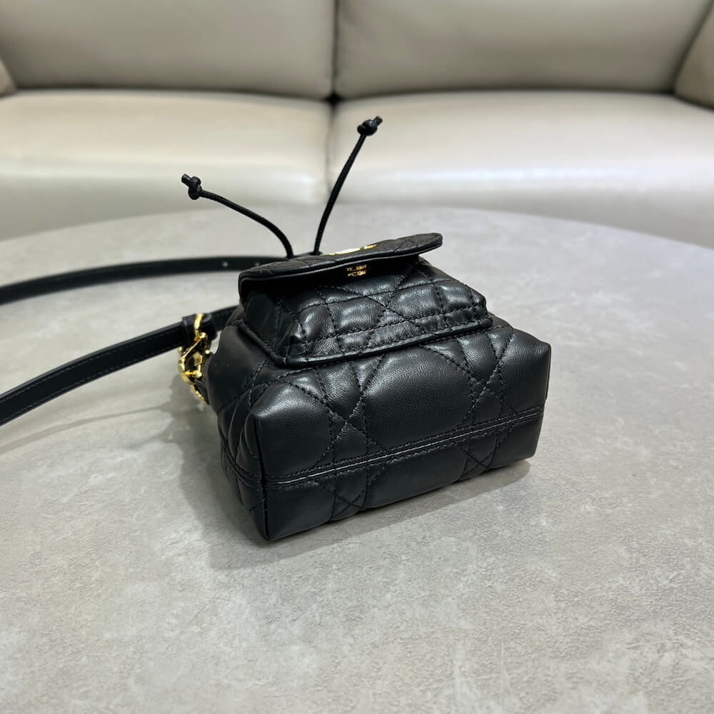 Dior Caro Nano Bucket Bag(HIGH-END GRADE)
