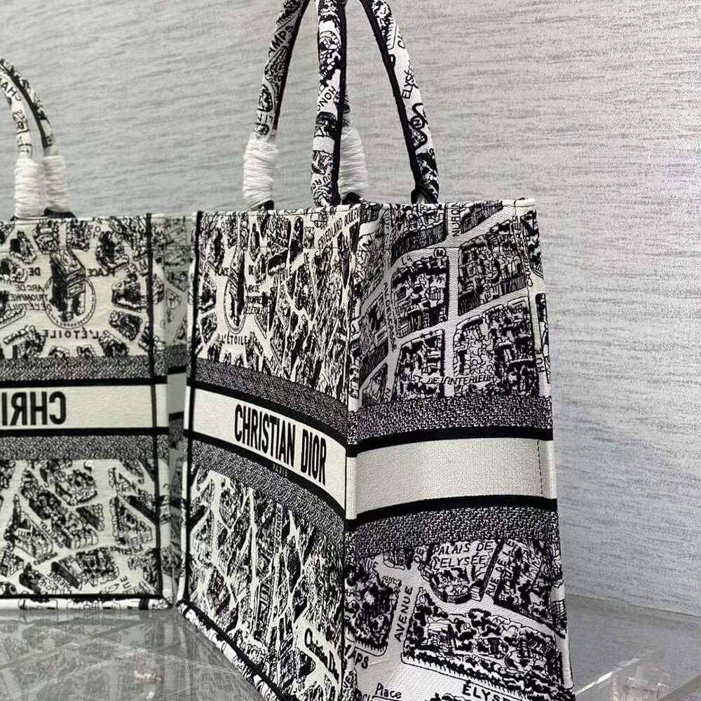 LARGE DIOR BOOK TOTE
