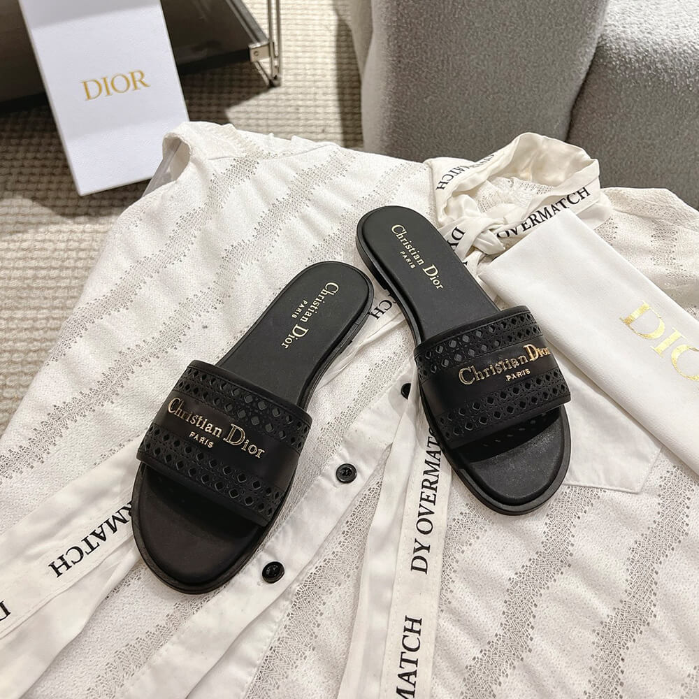 DIOR D-Lane Slide