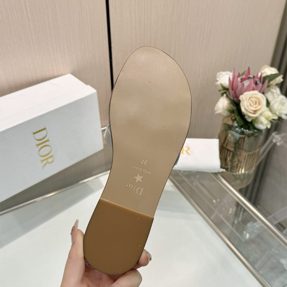 DIOR D-Club Slide